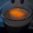 벨라비스타 이미지