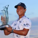 페리서가 이미지