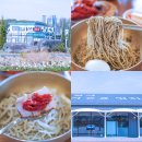 셰프의 펫방앗간 | 평택 미군부대 맛집 들기름 막국수 100% 순메밀 선바위메밀장터