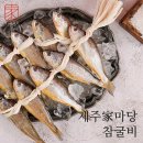 법성정굴비
