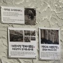 남옥 | [수원 영통 맛집 /수원 24시 맛집] 진짜배기 한우 육회부터 해장국까지, 해정남옥 수원본점 후기 🍖🍲
