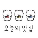 보배반점화정점 이미지