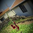 해변모텔 이미지