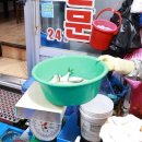 칠성천 | 포항 죽도시장 회포장 통일회식당에서 전어랑 광어 푸짐하게 공영주차장 정보 포함