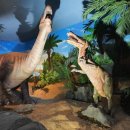 한국자연사박물관 이미지