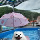 이쁘개즐겁개 이미지