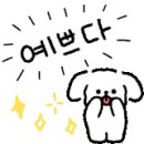오산원동네일