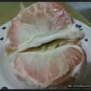 [필리핀 생활] 열대과일 포멜로(pomelo) 이미지