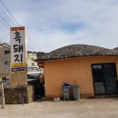 청솔(171) 이미지