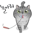 오늘은면발땡기는날 이미지