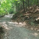 해독센터 이미지