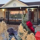 잭큐몬티562 이미지