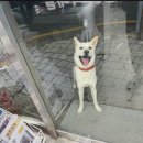 만복편의점 이미지