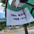 자유상회 이미지