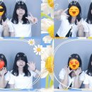 기영농원 이미지