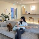 우쿨렐레 시작하기(서원) | 청주실용음악학원 이 곳에서 배울 수 있는 다양한 악기 클래스