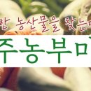 팜힐링고