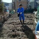 미정이집 이미지