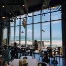 카페 파라 이미지