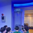 위즈캐슬 이미지