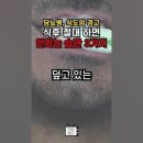 50년 경력 흉부외과(胸部外科) 심장(心臟) 전문의사의 솔직한 한마디!//식후 졀대 금물은? 이미지