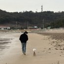 호수팬션 | [안면도] 1박2일 여행 , 호수와 바다팬션 이용 후기