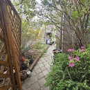 청주부동산중개본부김피디의부동산이야기 이미지