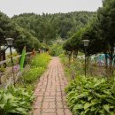 아침의 새소리 이미지