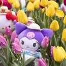 럭키게임장 이미지