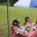 서후리 캠핑장 이미지