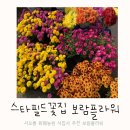 고양 스타필드 꽃집 보람플라워