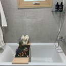 양곡초교 이미지