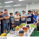 지리산농협 농산물산지유통센터 | 전북수출포도연구회,남원서 포도산업 발전을 위한 품평회 개최