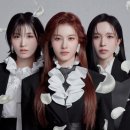 미사모 카카오 검색결과