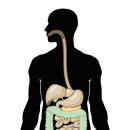 강남베스트내과의원 이미지