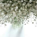 거창중앙고등학교 이미지