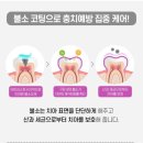 닥스메디