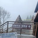 대만 이란 태평산 일일투어