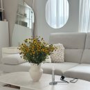 카보(cavo) 이미지