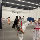 강한친구들 태권도 이미지