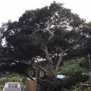 한지동경로당 이미지