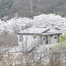 화개햇살민박 이미지