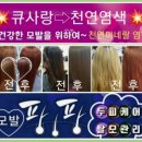 큐사랑팡팡