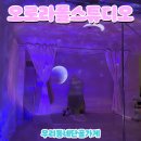 오로라폴스튜디오
