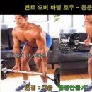 [등] 벤트 오버 로우(Bent-over row) 이미지