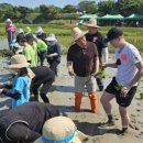 순천인안초등학교 이미지
