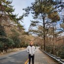 태종대새마을금고(남항지점) | 39주차 임산부 등산기 | 부산 영도 태종대