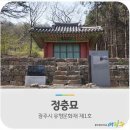정충묘 이미지