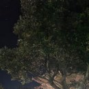 모구리야영장(가족영지) | 제주도 캠핑 모구리야영장 가족영지 여유롭고 좋았던 올해 첫 캠핑 성공