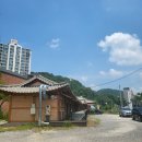 설악민물장어 | [남양주 맛집] 설악 민물장어를 맛볼 수 있는 장어맛집 내돈내산 후기 | 설악만